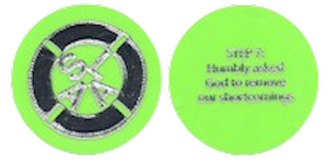Step 7 Chip